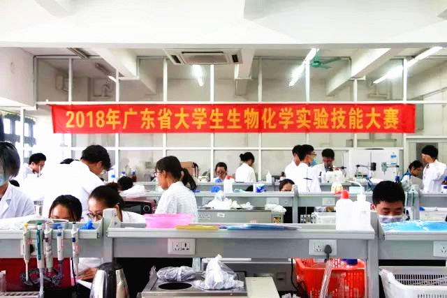 我院学生荣获广东省生物化学实验技能大赛二等奖02.jpg